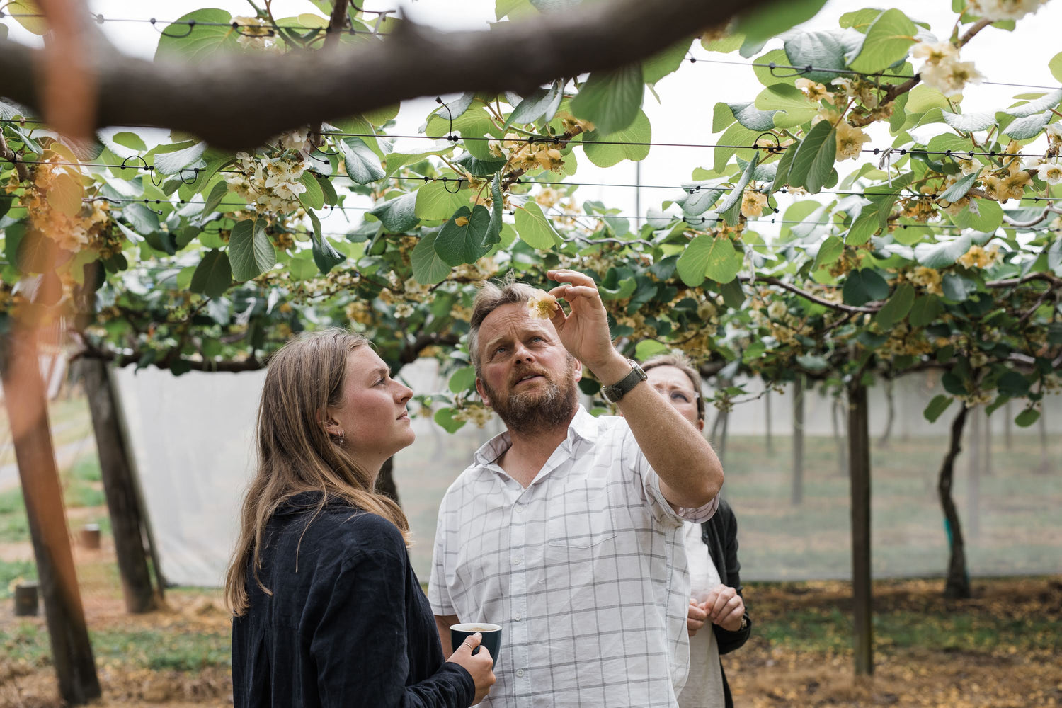 Fleming Family Under Kiwifruit Vines